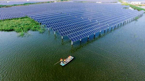 农渔林光互补光伏发电系统